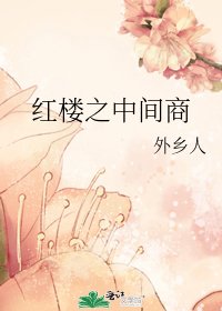 (红楼同人)红楼之中间商